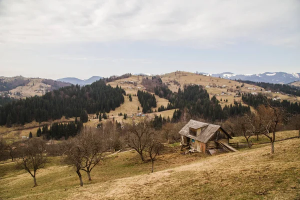 Живописный Пейзаж Село Краснойилля Украина — стоковое фото