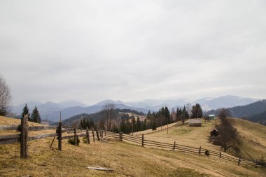 gün içinde Synytsi yakınlarındaki dağların doğal manzarası, Verhovyna Köyü