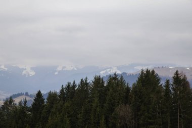 gün içinde Synytsi yakınlarındaki dağların doğal manzarası, Verhovyna Köyü