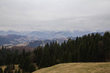 gün içinde Synytsi yakınlarındaki dağların doğal manzarası, Verhovyna Köyü