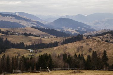 gün içinde Synytsi yakınlarındaki dağların doğal manzarası, Verhovyna Köyü