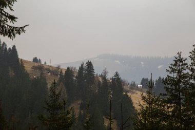 gün içinde Synytsi yakınlarındaki dağların doğal manzarası, Verhovyna Köyü