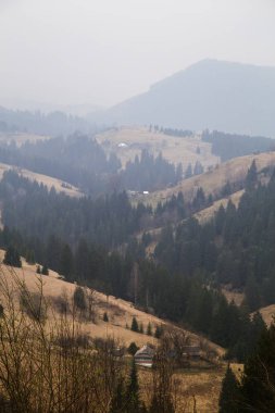gün içinde Synytsi yakınlarındaki dağların doğal manzarası, Verhovyna Köyü