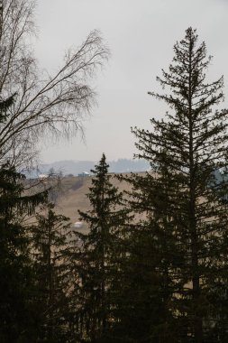 gün içinde Synytsi yakınlarındaki dağların doğal manzarası, Verhovyna Köyü