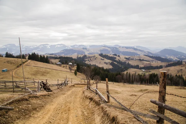 Vista Panoramica Sulle Montagne Vicino Synytsi Giorno Villaggio Verhovyna — Foto Stock