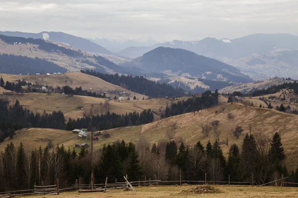 gün içinde Synytsi yakınlarındaki dağların doğal manzarası, Verhovyna Köyü