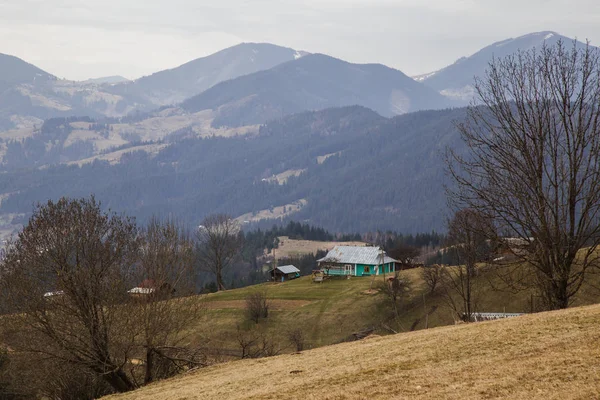 Schilderachtige Landschap Bij Dorp Holovy Oekraïne — Stockfoto