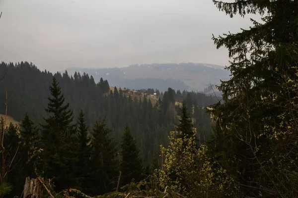 gün içinde Synytsi yakınlarındaki dağların doğal manzarası, Verhovyna Köyü