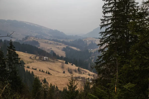 gün içinde Synytsi yakınlarındaki dağların doğal manzarası, Verhovyna Köyü