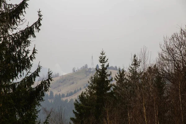 gün içinde Synytsi yakınlarındaki dağların doğal manzarası, Verhovyna Köyü