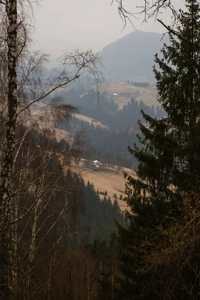 Scenic View Mountains Synytsi Daytime Verhovyna Village — Stock Photo, Image