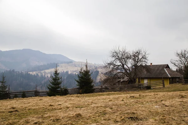 gün içinde Synytsi yakınlarındaki dağların doğal manzarası, Verhovyna Köyü