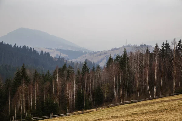 gün içinde Synytsi yakınlarındaki dağların doğal manzarası, Verhovyna Köyü