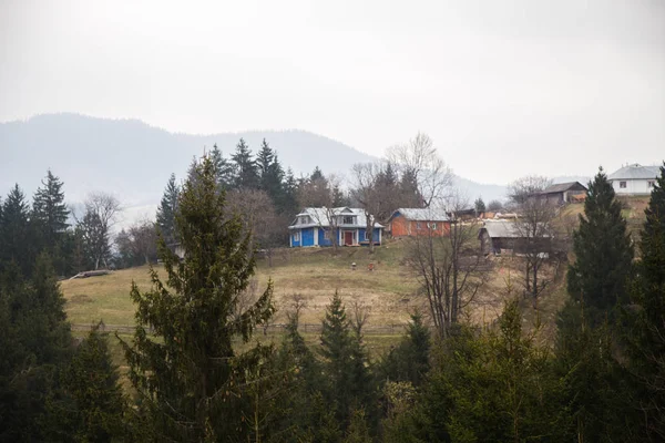 在白天 凡尔霍维纳村 Synytsi 附近的山脉的风景 — 图库照片