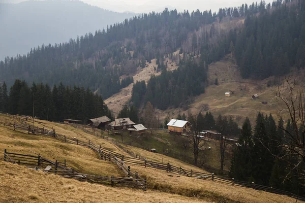 Schilderachtig Uitzicht Bergen Bij Synytsi Overdag Verhovyna Village — Stockfoto
