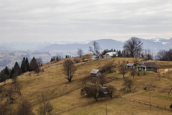 gün içinde Synytsi yakınlarındaki dağların doğal manzarası, Verhovyna Köyü