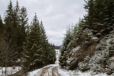 Slupeyka yakın kış peyzaj, Verhovyna Köyü