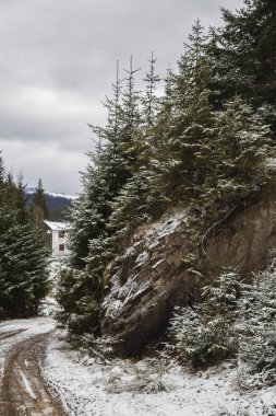 Slupeyka yakın kış peyzaj, Verhovyna Köyü