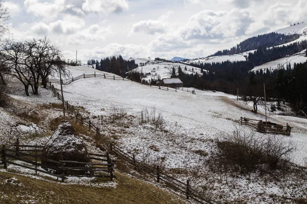 Paisaje Invierno Cerca Slupeyka Pueblo Verhovyna — Foto de Stock