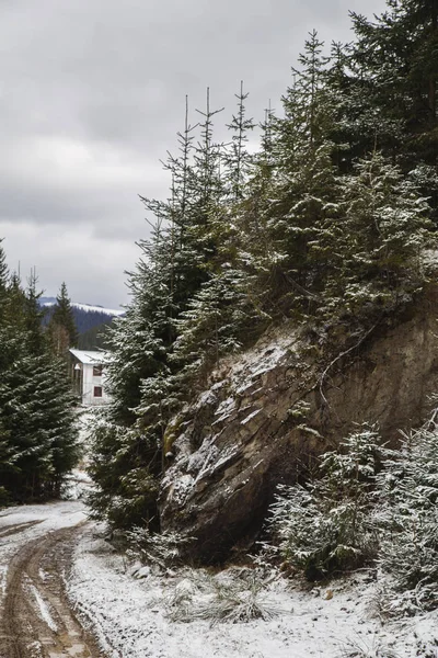 Slupeyka yakın kış peyzaj, Verhovyna Köyü