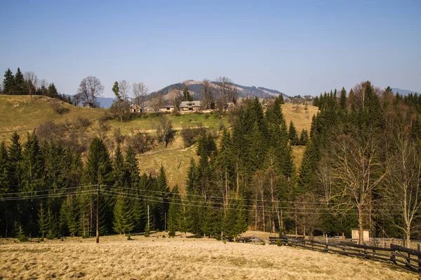 Natur Sköna Landskapet Nära Byn Holovy Ukraina — Stockfoto