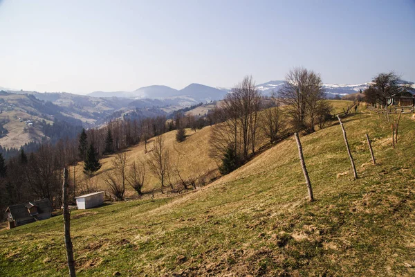 Natur Sköna Landskapet Nära Byn Holovy Ukraina — Stockfoto