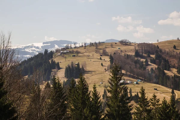 Malebná Krajina Nedaleko Vesnice Holovy Ukrajina — Stock fotografie