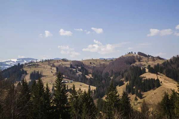 Festői Táj Közelében Village Holovy Ukrajna — Stock Fotó