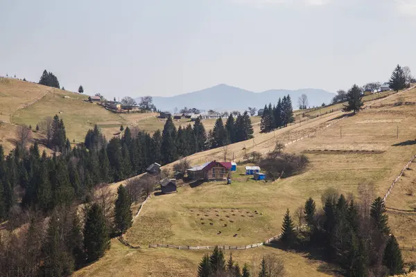 Festői Táj Közelében Village Holovy Ukrajna — Stock Fotó