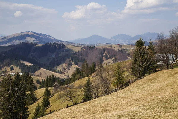 Вид Аерофотосело Денний Час Україна — стокове фото