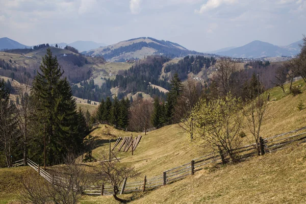 Luchtfoto Van Holovy Village Overdag Oekraïne — Stockfoto