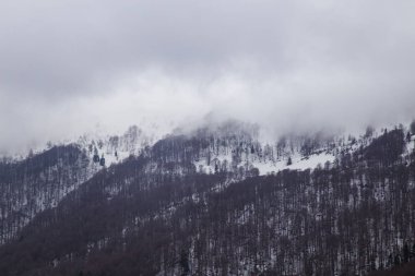 köy Kvasy yakınlarındaki doğal manzara, Mount Blyznytsya