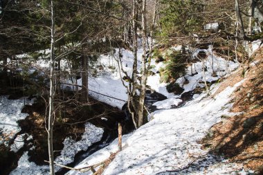 köy Kvasy yakınlarındaki doğal manzara, Mount Blyznytsya