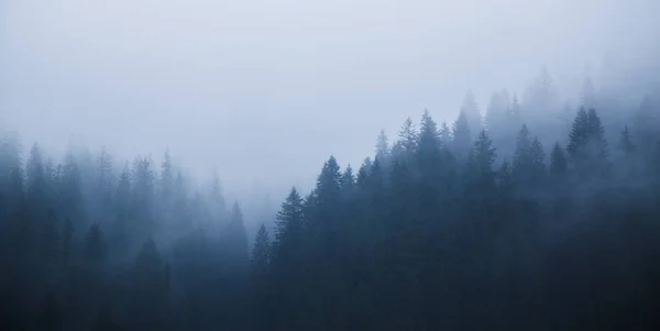 Naturskönt Landskap Nära Byn Kvasy Berget Blyznytsya — Stockfoto