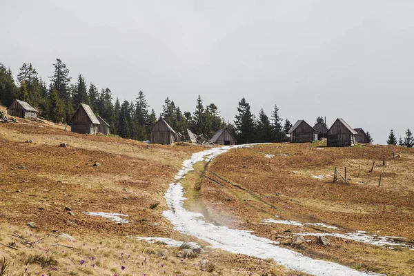 Paisagem Cênica Perto Aldeia Kvasy Monte Blyznytsya — Fotografia de Stock