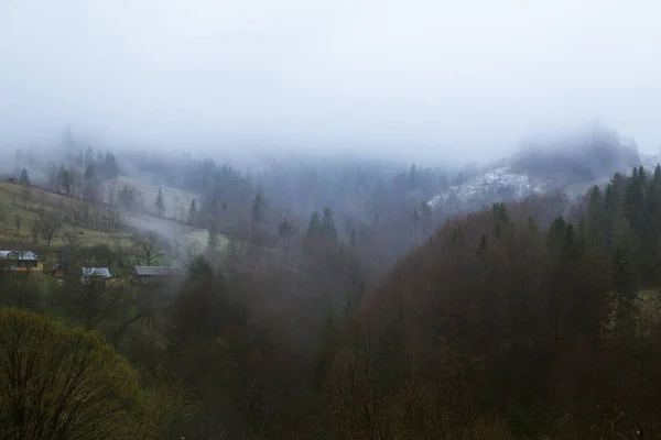 dağ köyü Maliy Rojyn görünümü, Ukrayna