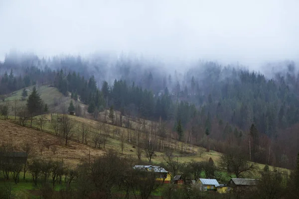 Pohled Horskou Vesnici Maliy Rojyn Ukrajina — Stock fotografie