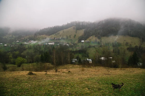 Vista Aldeia Montanha Maliy Rojyn Ucrânia — Fotografia de Stock