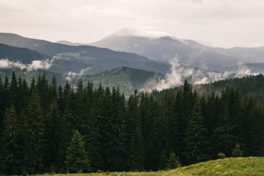 sisle çevrili Kukul Dağı'nın zirvelerinin görünümü, Yaremche, Ukrayna