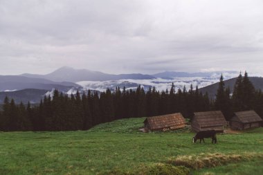 Mount Kukul arka plan üzerinde köy evlerinin görünümü, Yaremche, Ukrayna