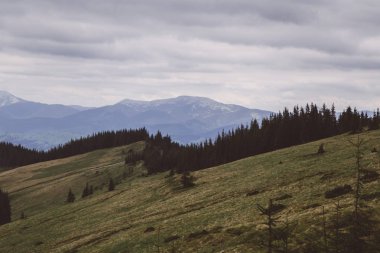 sisle çevrili Kukul Dağı'nın zirvelerinin görünümü, Yaremche, Ukrayna