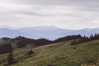 sisle çevrili Kukul Dağı'nın zirvelerinin görünümü, Yaremche, Ukrayna