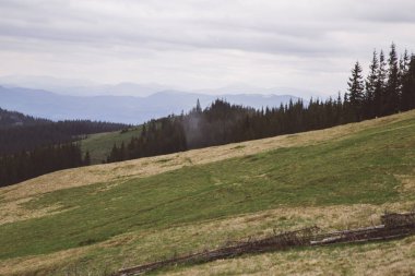 sisle çevrili Kukul Dağı'nın zirvelerinin görünümü, Yaremche, Ukrayna
