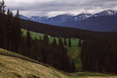 sisle çevrili Kukul Dağı'nın zirvelerinin görünümü, Yaremche, Ukrayna