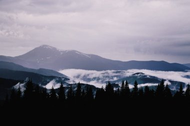 sisle çevrili Kukul Dağı'nın zirvelerinin görünümü, Yaremche, Ukrayna