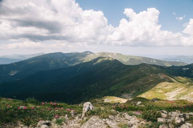 Mount Popivan'da yürüyüş, Yaremche, Ukrayna 