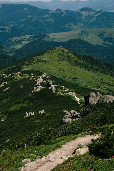 Mount Popivan'da yürüyüş, Yaremche, Ukrayna 