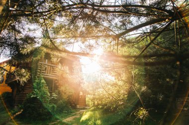 ahşap ev arka plan üzerinde ağaç dalları ile güneş Kirişleri görünümü 