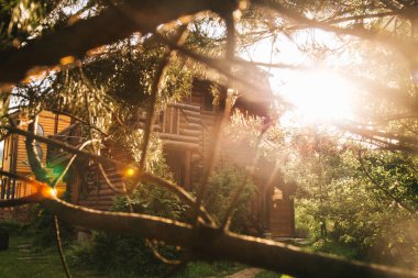 ahşap ev arka plan üzerinde ağaç dalları ile güneş Kirişleri görünümü 