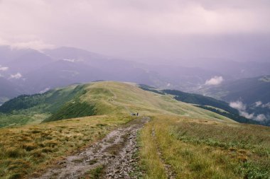 gündüz Blyznytsya Dağı görünümü, Kvasy, Ukrayna 